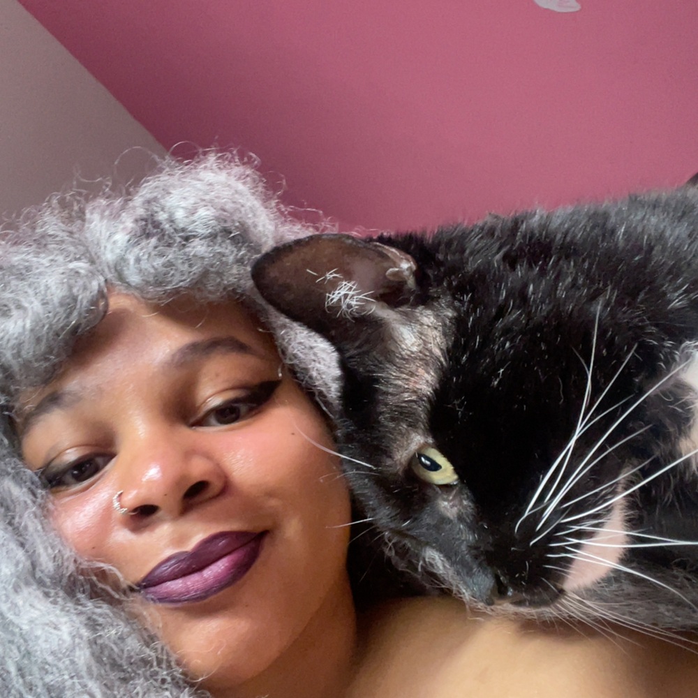 Meet your Posher, Kitty